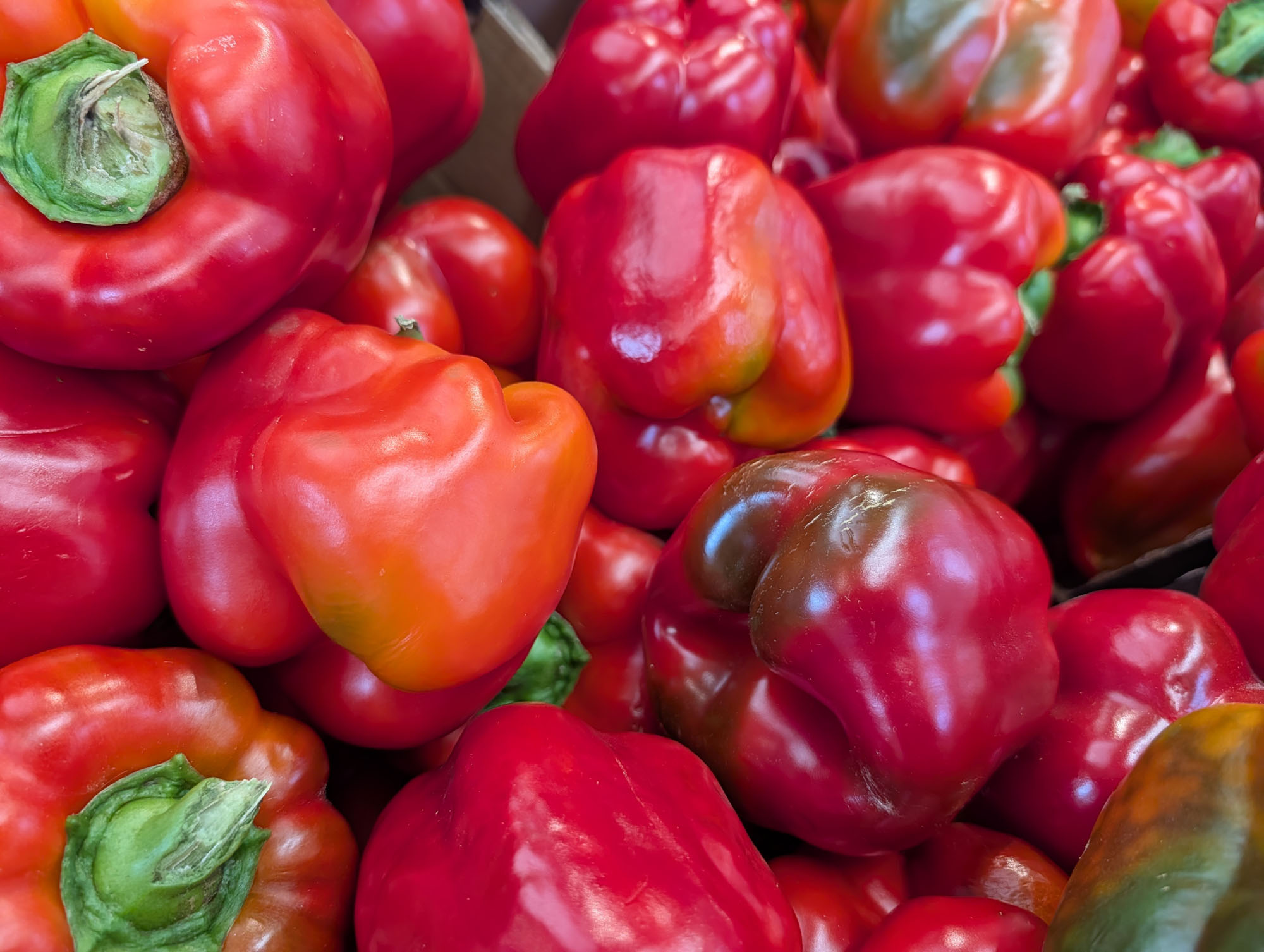 Porównanie Pixel 10 Pro XL z konkurencją