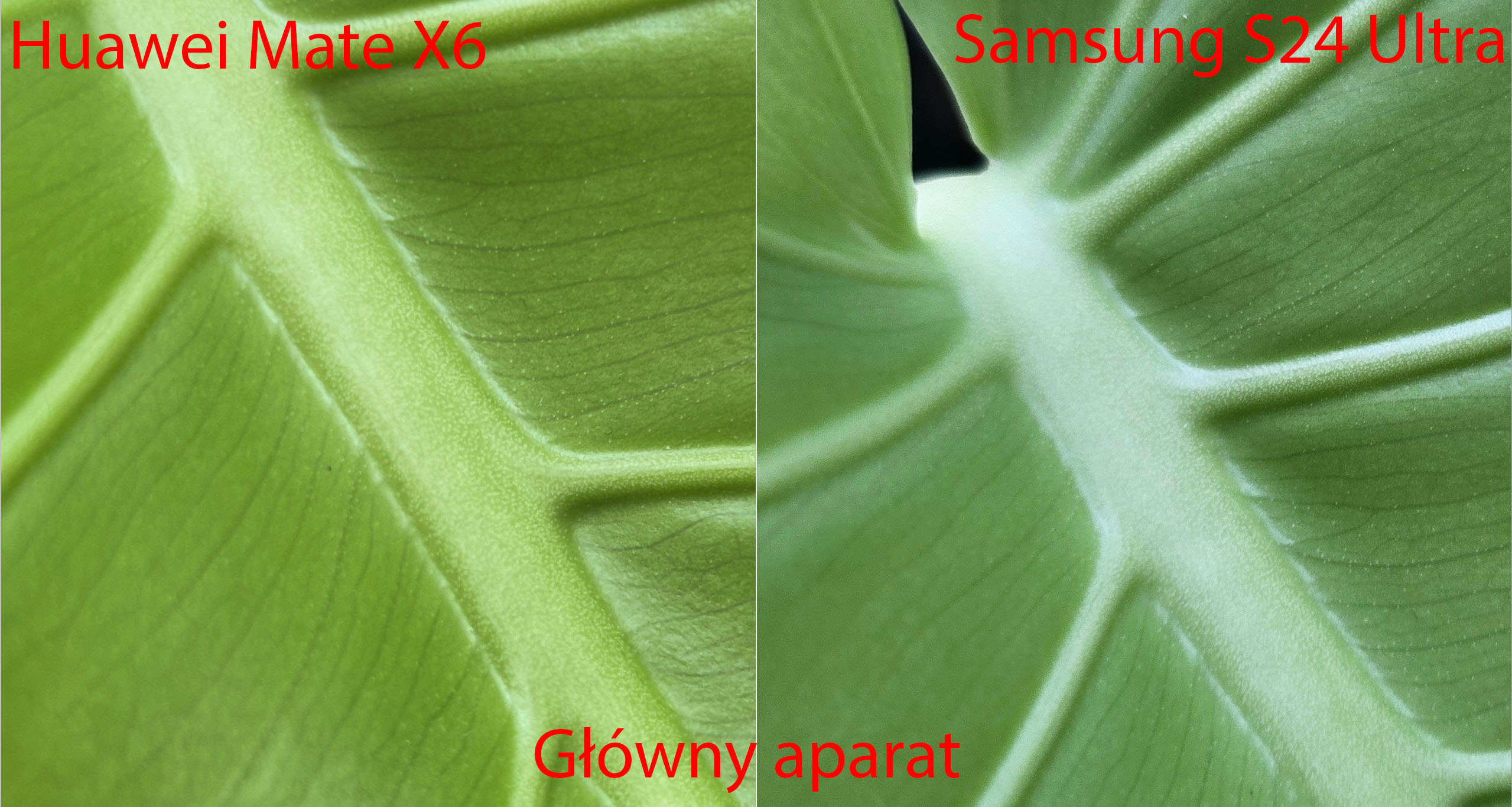Porównanie zdjęć Huawei Mate X6 versus Samsung Galaxy S24 Ultra