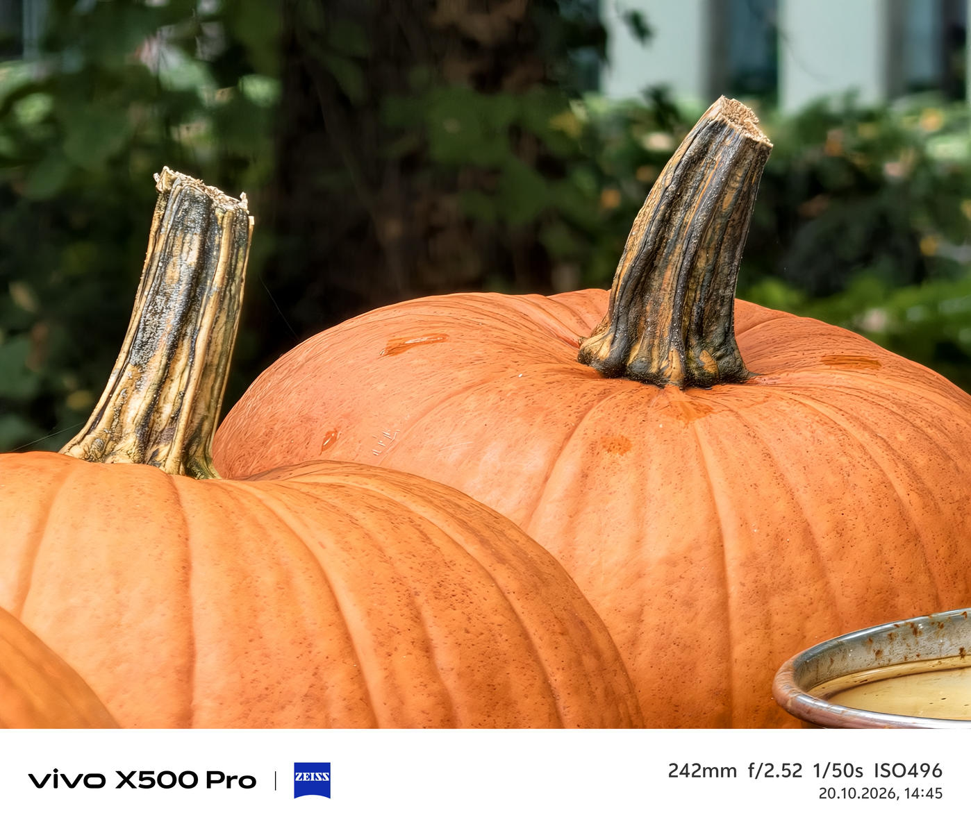 vivo X500 Pro – jest znacznie mniejszy, ale czy równie dobry fotograficznie – nasze pierwsze wrażenia