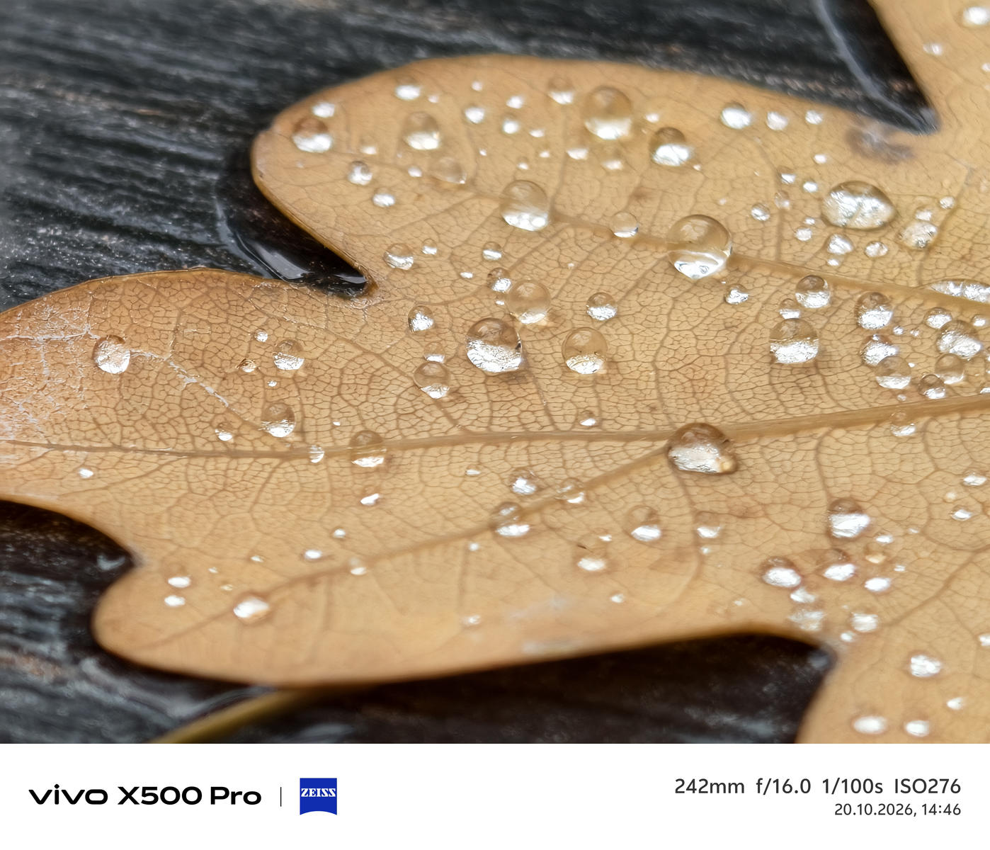 vivo X500 Pro – jest znacznie mniejszy, ale czy równie dobry fotograficznie – nasze pierwsze wrażenia