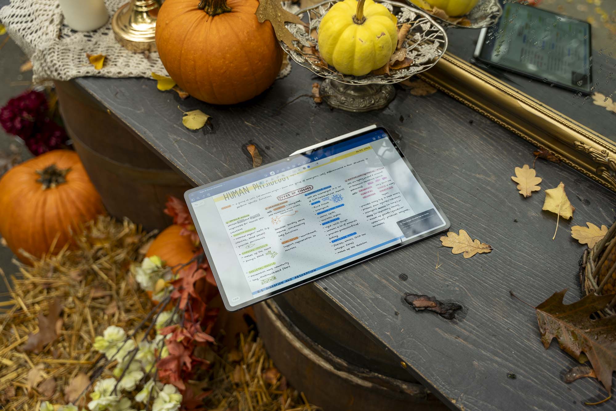 Test Samsung Galaxy Tab S12 Ultra 5G – ma ogromny ekran AMOLED