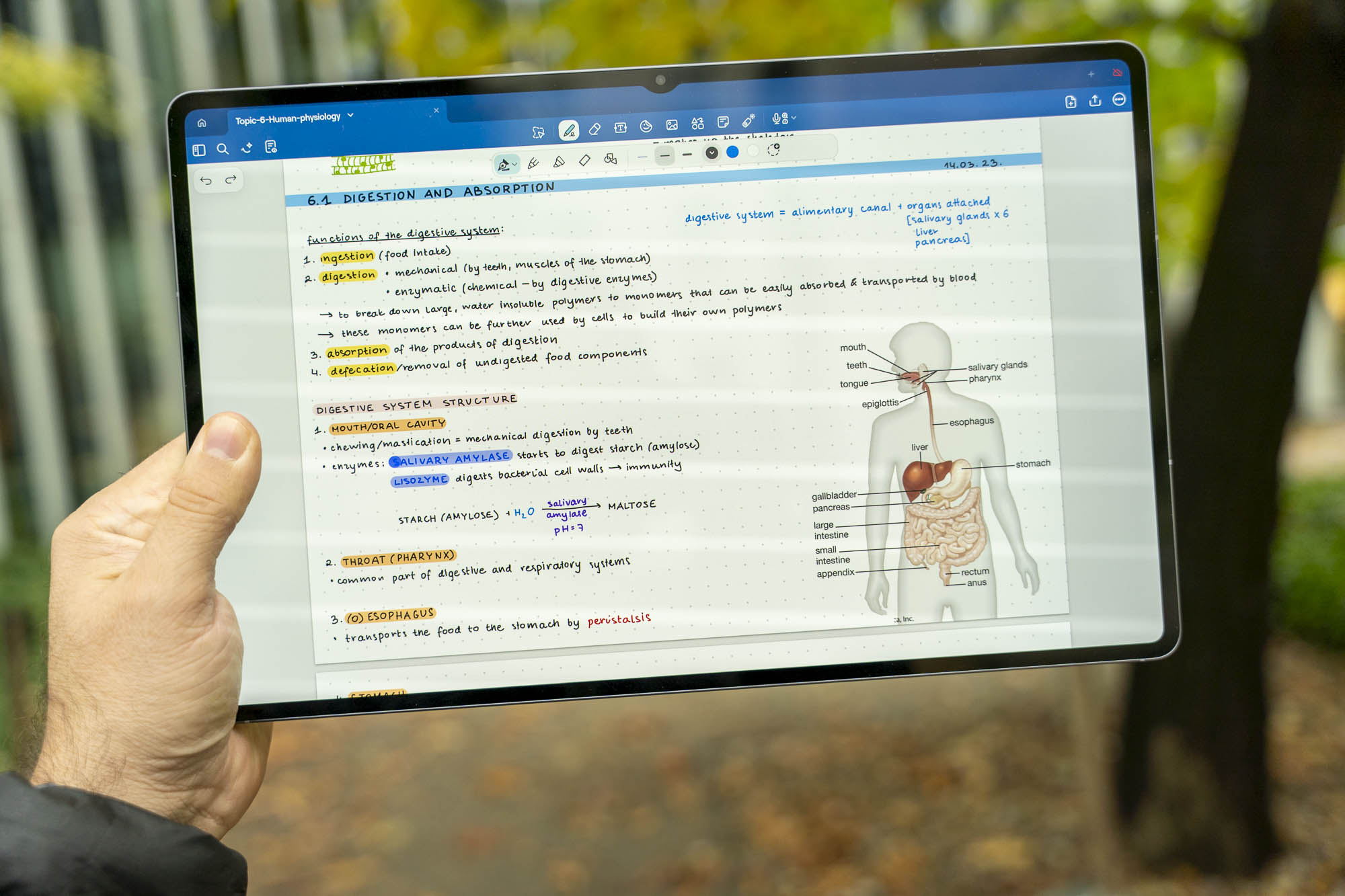 Test Samsung Galaxy Tab S12 Ultra 5G – ma ogromny ekran AMOLED