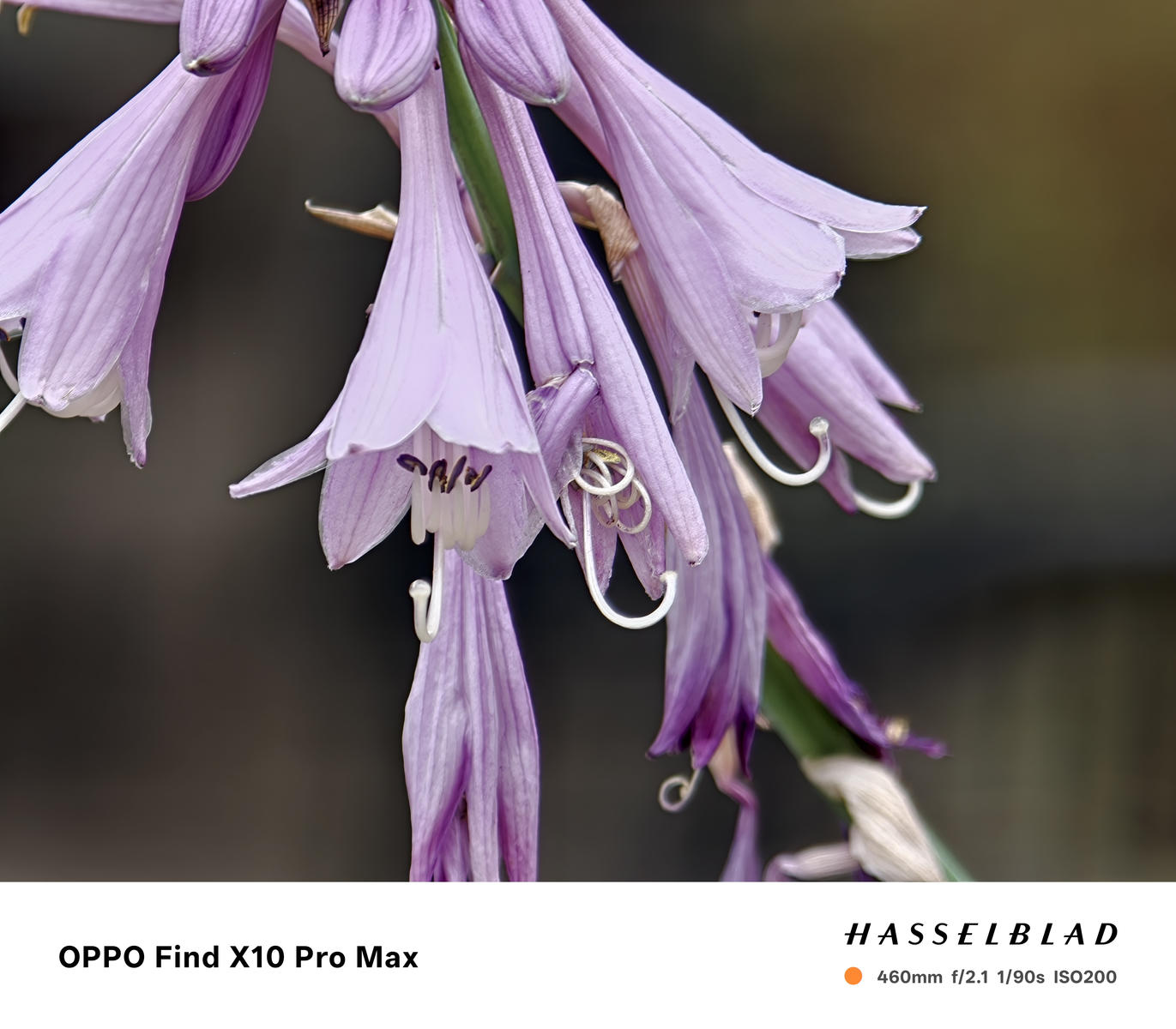 Test OPPO Find X10 Pro Max – po raz pierwszy w smartfonie trzy aparaty 200 MP 