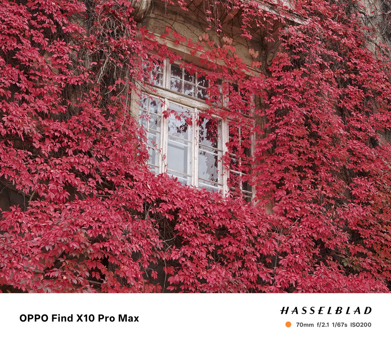 Test OPPO Find X10 Pro Max – po raz pierwszy w smartfonie trzy aparaty 200 MP 
