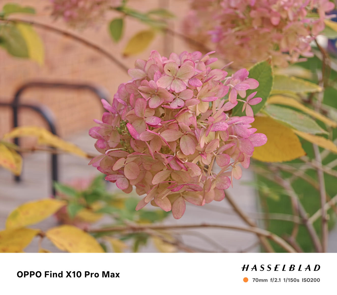 Test OPPO Find X10 Pro Max – po raz pierwszy w smartfonie trzy aparaty 200 MP 