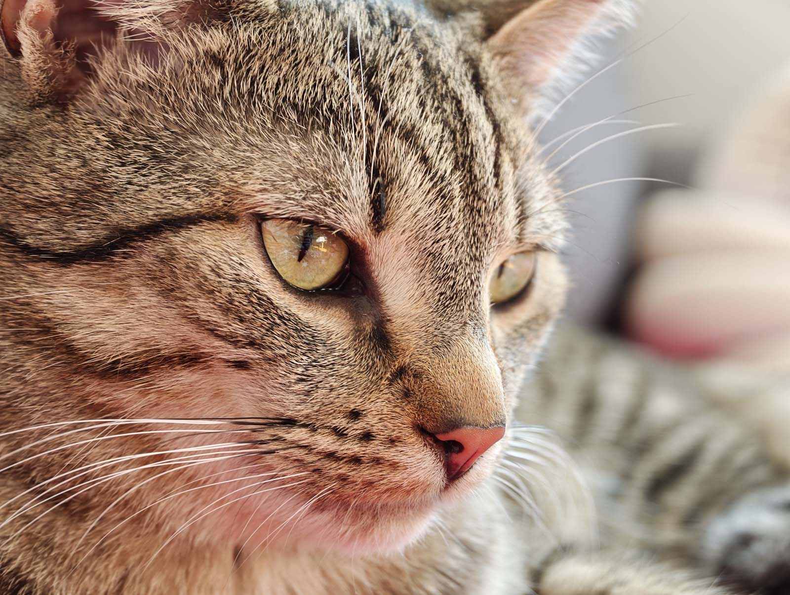 Test Xiaomi 17 Ultra – czy faktycznie ma teraz najlepszy aparat?