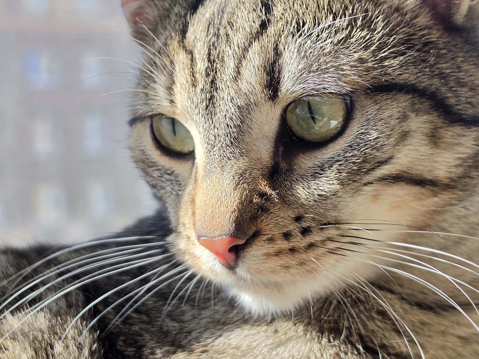 Test smartfonu Samsung Galaxy S26 Ultra – jest dobrze, ale fani chcą już czegoś więcej