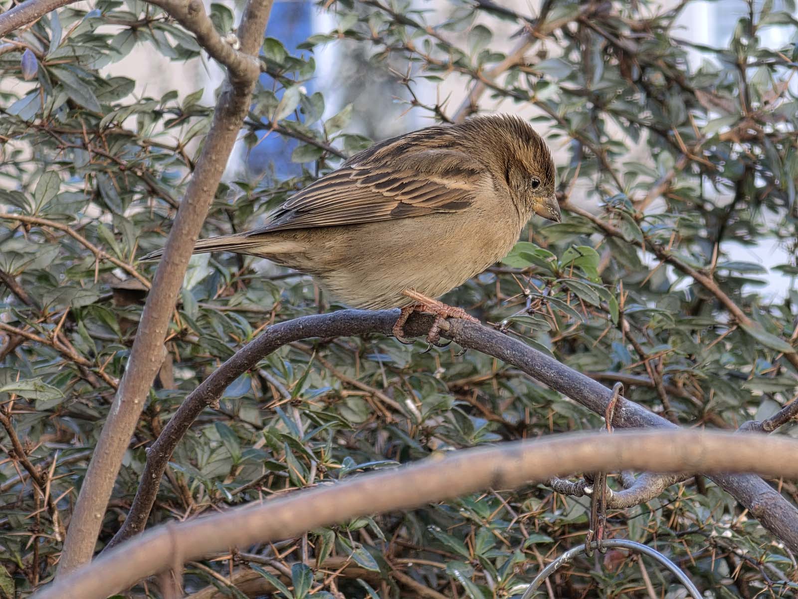 Test smartfonu Samsung Galaxy S26 Ultra – jest dobrze, ale fani chcą już czegoś więcej