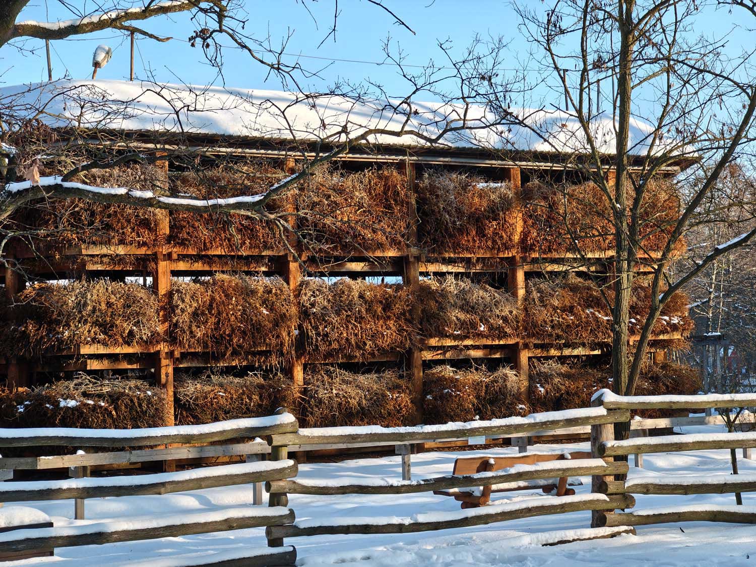 Nasz test Motorola signature – Motorola celuje coraz wyżej