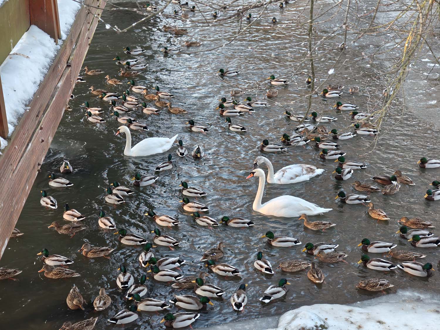 Nasz test Motorola signature – Motorola celuje coraz wyżej