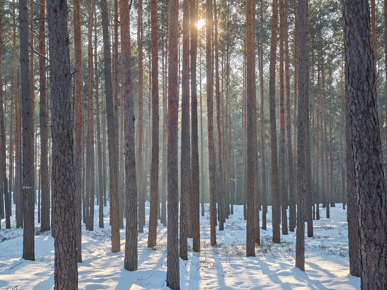 Nasz test Motorola signature – Motorola celuje coraz wyżej