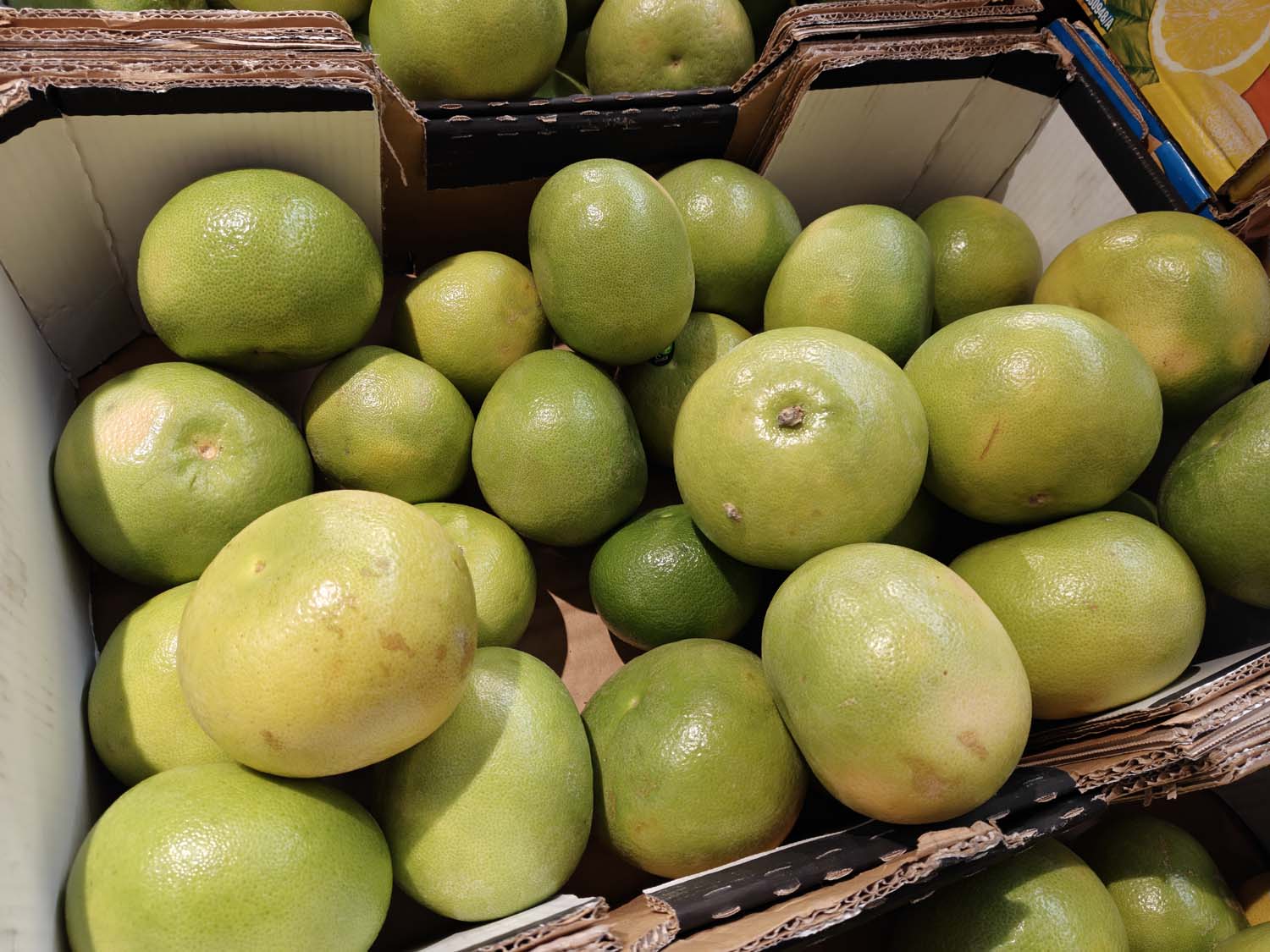 Test OnePlus 15R – jest super, ale jednego elementu na pewno brakuje