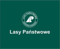 Księga logotypu