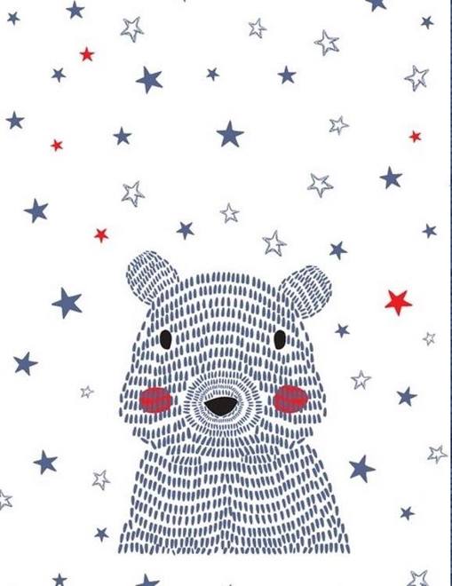 GALAXY BEAR BRIGHT BLANKET 80X100 (HARVARD BLUE)