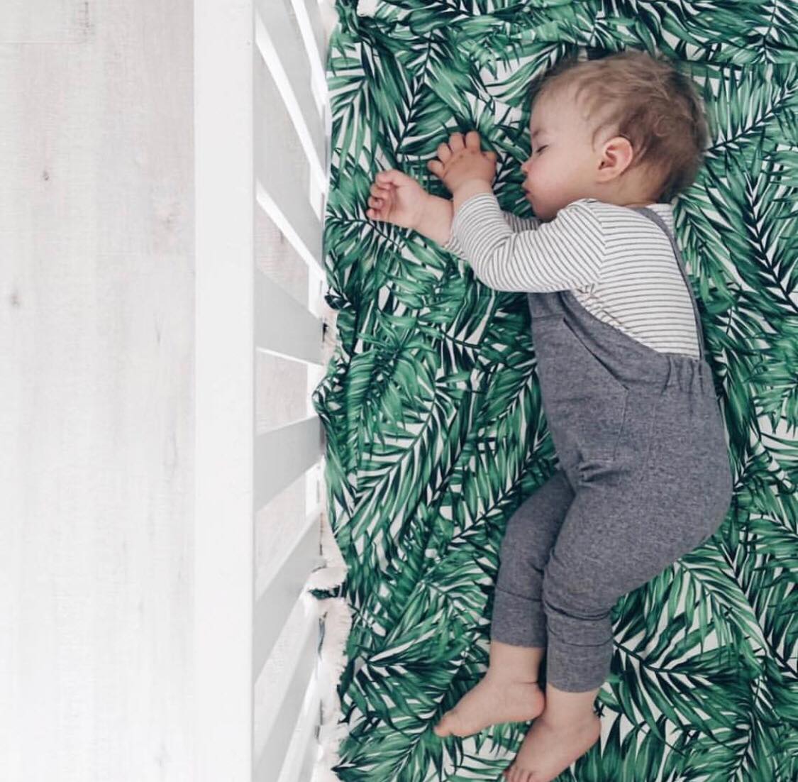 BAMBOO ROUND SWADDLE PALM TREE (MEDIUM)