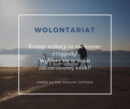 grafika nabór wolontariuszy