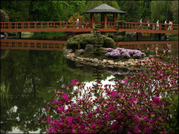 Ogród Japoński we Wrocławiu/ Japanese Garden in Wrocław