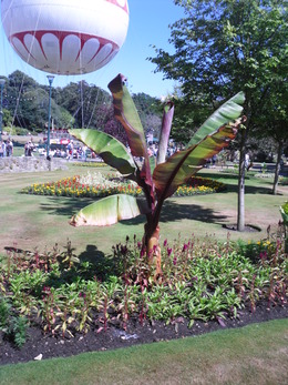 SDC11594.JPG