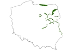 Obszary Natura 2000 na których w latach 2013-2014 zostanie przeprowadzona inwentaryzacja błotniaka łąkowego.