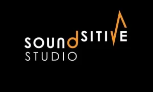 Logo fundacji Soundsitive