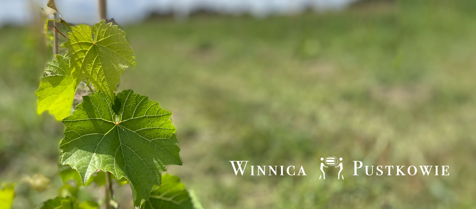 Winnica Pustkowie