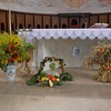 SAM_8110.JPG