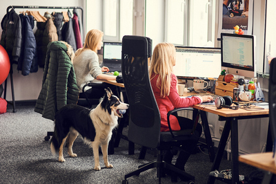 Dwie kobiety siedzące przed komputerami przy biurkach z psem