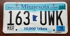 Minnesota 2018 (sticker ważny do 2018)