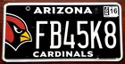 Arizona 2015 CARDINALS