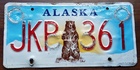 Alaska - Road Kill