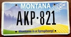 Montana - Road Kill