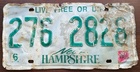 New Hampshire - Road Kill