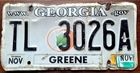Georgia Road Kill