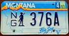 Montana 1993