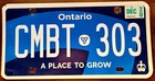Ontario 2020 - Canada poszukiwany wzór
