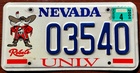 Nevada 2004