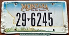 Montana - Road Kill