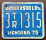 Montana 1975