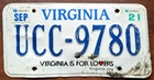 Virginia Road Kill