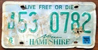 New Hampshire ROAD KILL