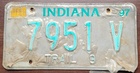 Indiana - Road Kill