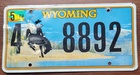 Wyoming - Road Kill 