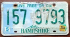 New Hampshire - Road Kill