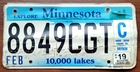 Minnesota 2019 - Road Kill