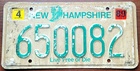 New Hampshire - Road Kill