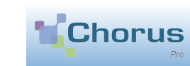 Facturation Chorus Pro Administration Publique