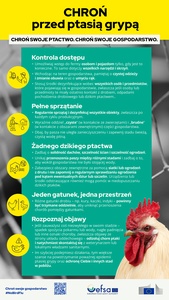 Infografika: Chroń przed ptasią grypą