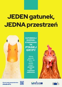 Plakat: Jeden gatunek, Jedna przestrzeń