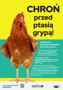 Plakat: Chroń przed ptasią grypą
