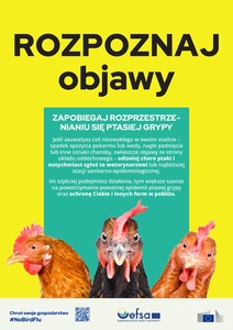 Plakat: Rozpoznaj objawy